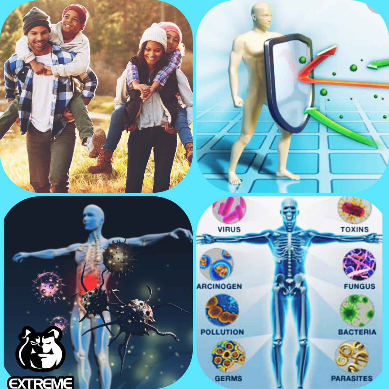 Immuno Complex - Wellmune + Probióticos + Zinco -  Fórmula Manipulada Extreme